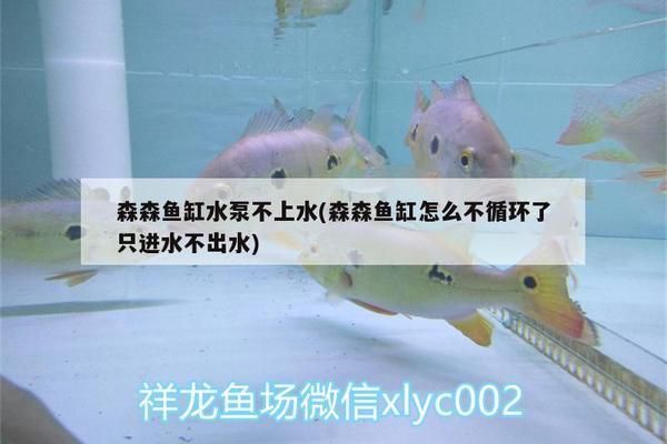 汕尾魚池過濾濾材:求海豐汕尾腸粉的醬料配方