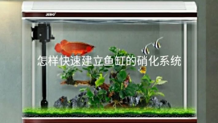 西雙版納傣族自治州魚池過濾濾材