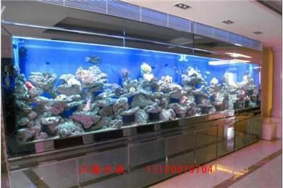 廣州魚池水泵設(shè)備 廣州水族器材濾材批發(fā)市場(chǎng)