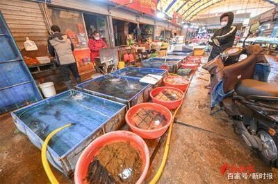 濟南紅龍魚專賣店電話（濟南紅龍魚專賣店怎么查詢） 龍魚百科 第2張