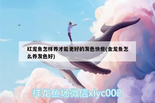 上海計罡景觀設(shè)計中心（上海計罡景觀設(shè)計中心91310120ma1jkpau2u）