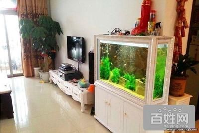 斗魚和金龍魚混養(yǎng)的水溫控制（金龍魚和斗魚在混養(yǎng)時，如何確保不會對斗魚造成傷害？） 水族問答