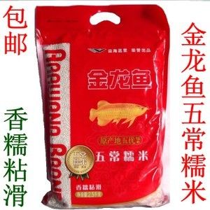 紅龍魚水溫:龍魚怕冷嗎