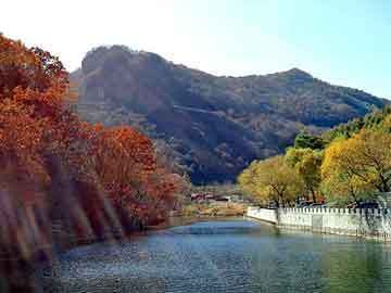 紅龍魚吃什么長得最快又好養(yǎng)（關(guān)于紅龍魚的飲食和養(yǎng)殖的建議）