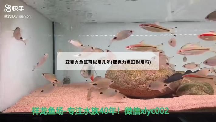 金龍魚哪里產(chǎn)的:金龍魚哪里有