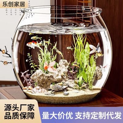 金龍魚只喂飼料可以嗎【龍魚喂金魚飼料可以嗎】