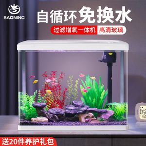 金龍魚飼料哪種最好【藍底金龍魚怎么才更藍】