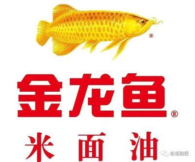 金龍魚2021年目標價格表（關(guān)于金龍魚2021年目標價格表） 龍魚百科 第4張