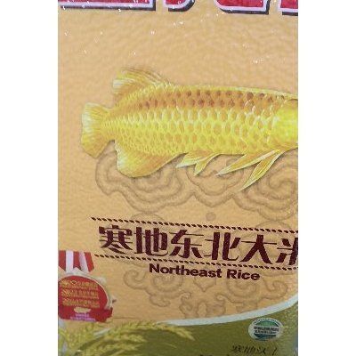 金龍魚的說明文400字（金龍魚是一種極具魅力的魚類，金龍魚的風水寓意寓意）