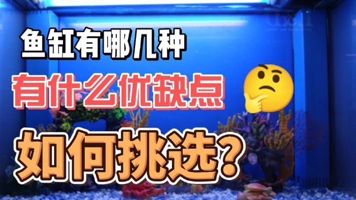 淡水魚苗批發(fā)市場【怎樣養(yǎng)好魚苗】