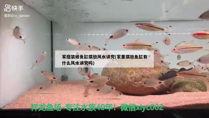 魚(yú)缸里面的過(guò)濾器怎么裝視頻（如何安裝魚(yú)缸過(guò)濾器） 龍魚(yú)百科 第6張