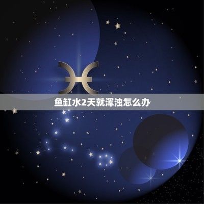 草缸之老樹(shù)盤(pán)根不種水草都好看的骨架