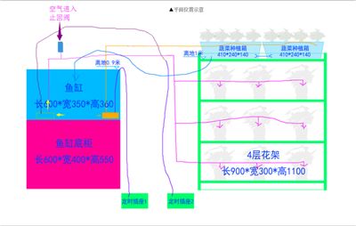 曼麗寵物店