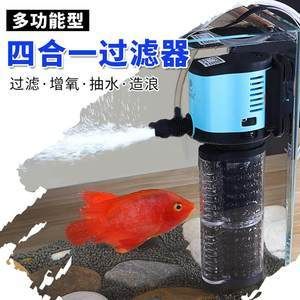 印尼紅龍魚(yú)發(fā)色過(guò)程