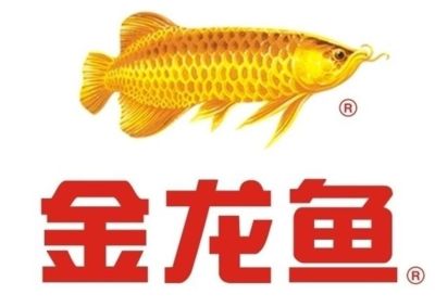 金龍魚宣傳詞怎么寫（金龍魚宣傳詞） 龍魚百科 第4張