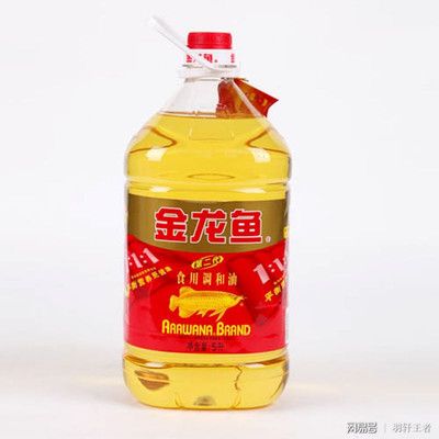 金龍魚的牌子有哪些名字呢（金龍魚旗下?lián)碛卸鄠€(gè)品牌具體如下：金龍魚品牌的歷史沿革） 龍魚百科 第4張