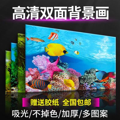 克孜勒蘇柯爾克孜自治州水族館魟魚飼養(yǎng)需要具備的五心你具備了嗎？