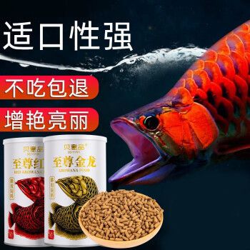 紅龍魚喂什么魚飼料好呢（紅龍魚飼料營養(yǎng)搭配指南）