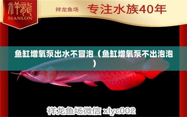 廣州水族批發(fā)市場(chǎng)祥龍魚場(chǎng)電話(廣州龍魚批發(fā)市場(chǎng)gg祥龍魚場(chǎng))