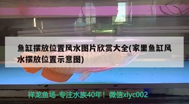 江蘇楓合匯景觀工程設計有限公司（江蘇楓合匯景觀工程設計） 廣州景觀設計