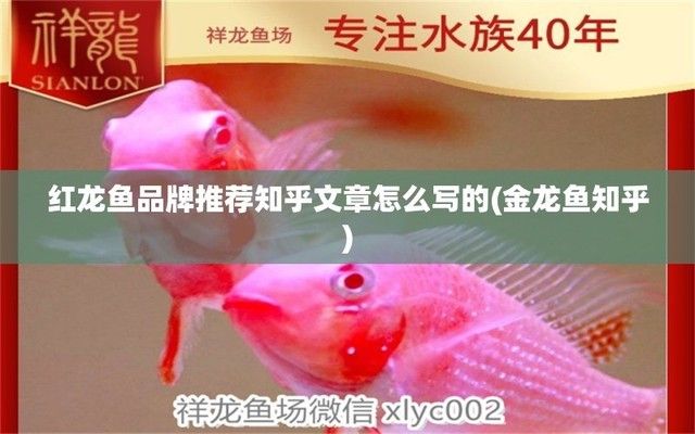 金龍魚的產(chǎn)品怎么樣呀好用嗎知乎推薦一下（金龍魚產(chǎn)品有哪些優(yōu)勢(shì)？） 龍魚百科 第4張