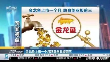 金龍魚首富（金龍魚與首富郭鶴年有什么關(guān)系？）