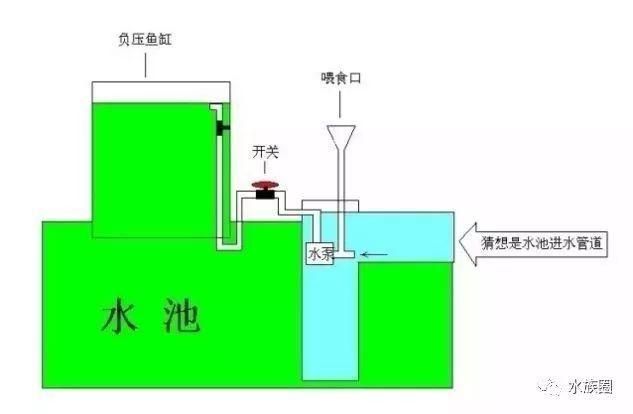 草繩恐龍魚(yú)適合混養(yǎng)嗎（關(guān)于草繩恐龍魚(yú)的問(wèn)題） 水族問(wèn)答