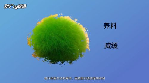 西安曲江新區(qū)如魚得水水族館（曲江新區(qū)如魚得水水族館）