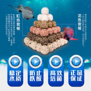 龍魚過濾要用哪些濾材好（龍魚專用濾材品牌推薦）