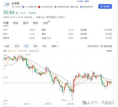 金龍魚行情分析最新消息（12月11日15:00，金龍魚漲停）