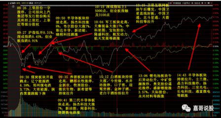 金龍魚行情分析最新消息（12月11日15:00，金龍魚漲停）