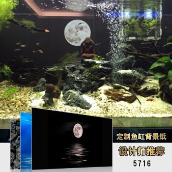 龍魚缸背景紙圖片大全大圖高清（高清龍魚缸背景圖片大全） 龍魚百科 第2張