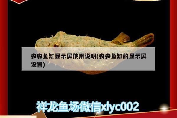 森森魚缸顯示屏使用說明（森森魚缸顯示屏定時功能設置方法如何調(diào)節(jié)魚缸顯示屏亮度） 龍魚百科 第4張