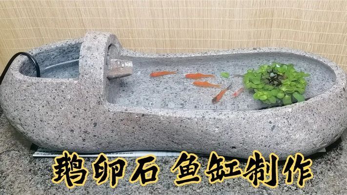 鵝卵石魚缸造景圖片擺法視頻（如何選擇合適的鵝卵石水族箱造景創(chuàng)意設(shè)計(jì)案例） 龍魚百科 第1張