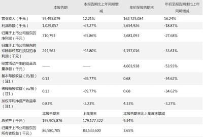 金龍魚2019年凈利潤分析（金龍魚2019年業(yè)績(jī)分析） 龍魚百科 第3張