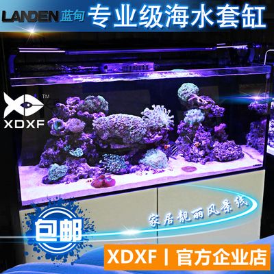 藍(lán)昂（LANANG）魚缸（藍(lán)昂魚缸隔離盒使用體驗） 龍魚百科 第2張