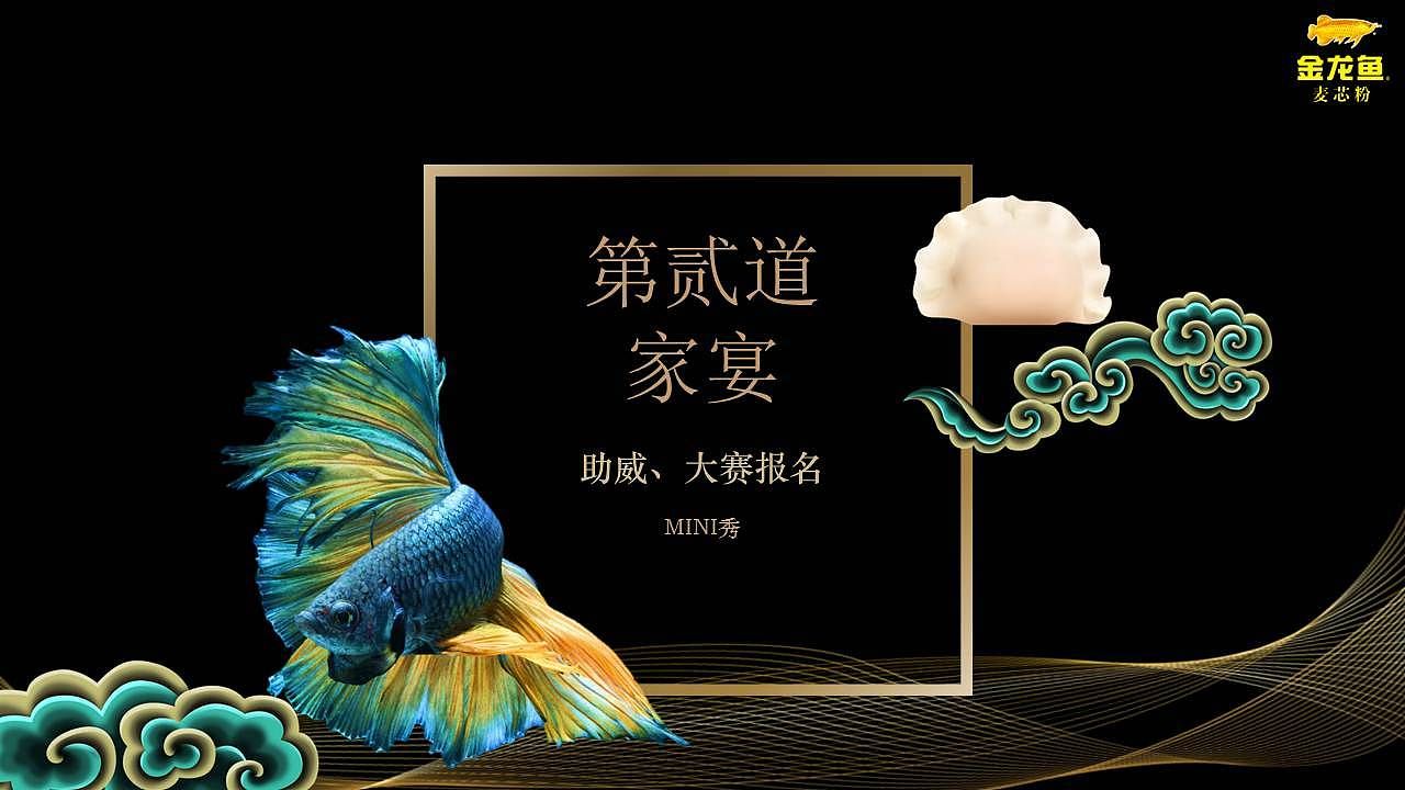 金龍魚策劃案（關(guān)于金龍魚策劃案的一些要點(diǎn)） 龍魚百科 第4張