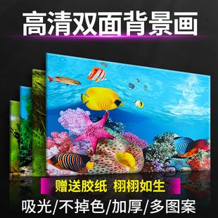 魚缸背景圖3d（3d魚缸背景圖免費(fèi)下載）