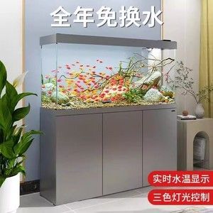 森森1.5米下濾魚缸大概多少錢（森森魚缸品牌效應分析） 龍魚百科 第3張