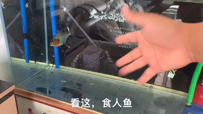 魚(yú)缸需要一直換水嗎為什么（如何判斷魚(yú)缸水質(zhì)是否良好）