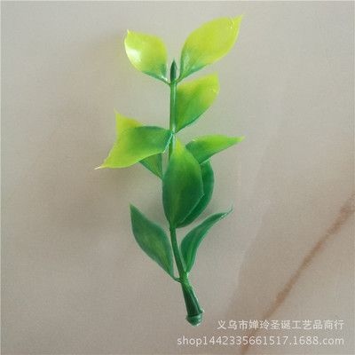 魚缸草缸圖片（水草缸造景技巧魚缸水草養(yǎng)護要點不同風格魚缸設計） 龍魚百科 第5張