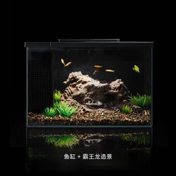 起源紀(jì)魚缸（起源紀(jì)魚缸是一款功能齊全、易于維護(hù)的智能魚缸）