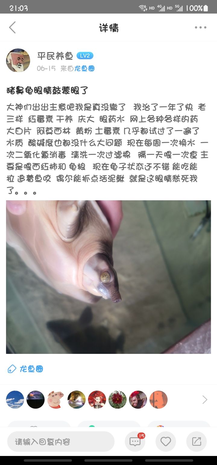 豬鼻龜求救（圖一圖二圖三是現(xiàn)在的狀態(tài)） 觀賞魚論壇 第4張