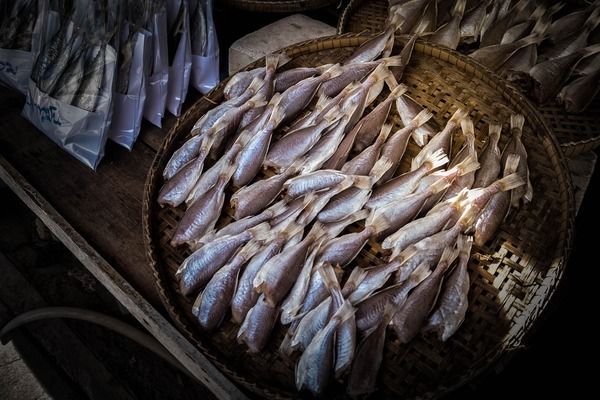 最好魚缸過濾系統(tǒng)品牌（飛利浦魚缸過濾器性能評(píng)測(cè)福萊瓦f-series濾器） 龍魚百科 第6張