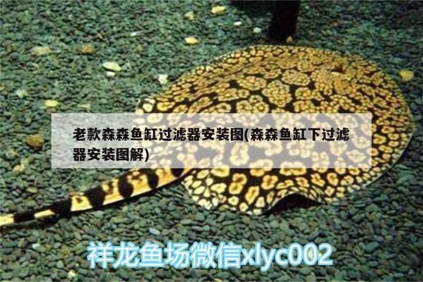 森森1.8米魚缸下過濾安裝圖（森森1.8米魚缸下過濾器安裝圖文教程） 龍魚百科 第1張