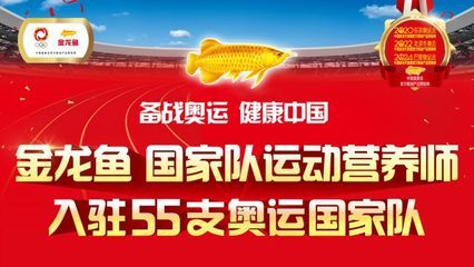 紅龍魚水溫多少度最好（紅龍魚水溫控制在28-29℃之間）