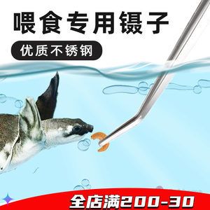 龍魚缸用什么工具魚（龍魚缸工具魚的選擇和養(yǎng)護(hù)技巧龍魚混養(yǎng)指南）