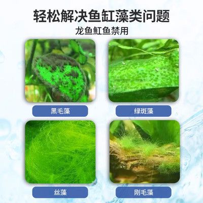 龍魚缸如何除藻效果好（龍魚缸如何除藻？） 龍魚百科 第2張