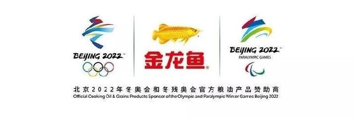 金龍魚logo含義（金龍魚logo設(shè)計(jì)成功案例分析金龍魚logo設(shè)計(jì)演變過程） 龍魚百科 第4張