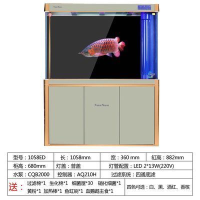 最小型的龍魚(yú)叫什么名字（最小型的龍魚(yú)是什么？） 龍魚(yú)百科 第2張